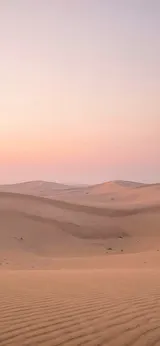 Desert Dunes